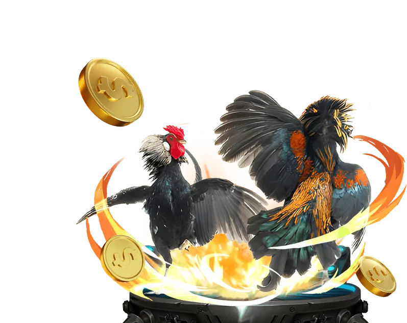 Đá gà j88 kinh nghiệm